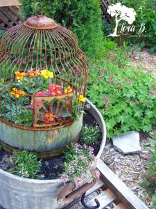 Vintage birdcages in garden pots