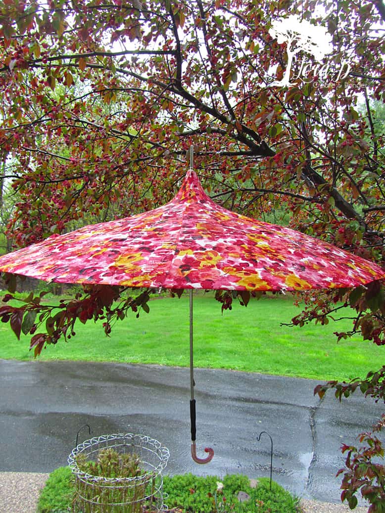 vintage umbrella