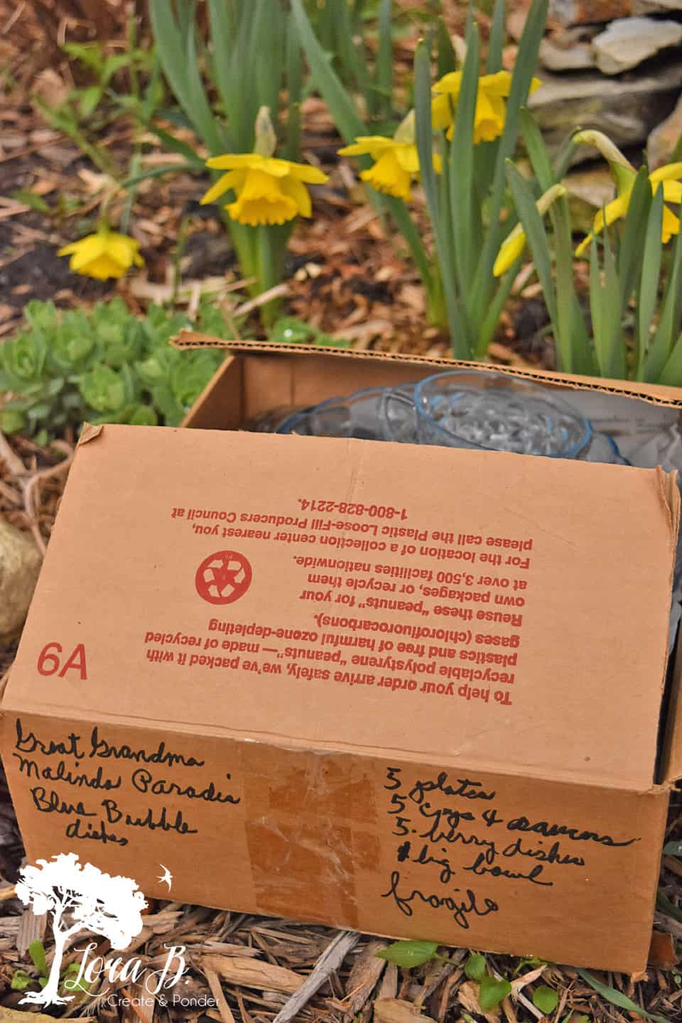 Cardboard box full of Church Sale dishes