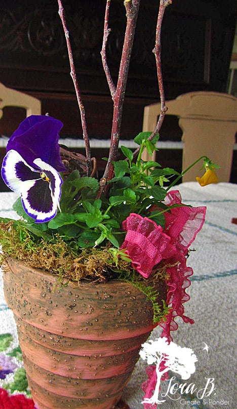 Pansy Pot with sticks