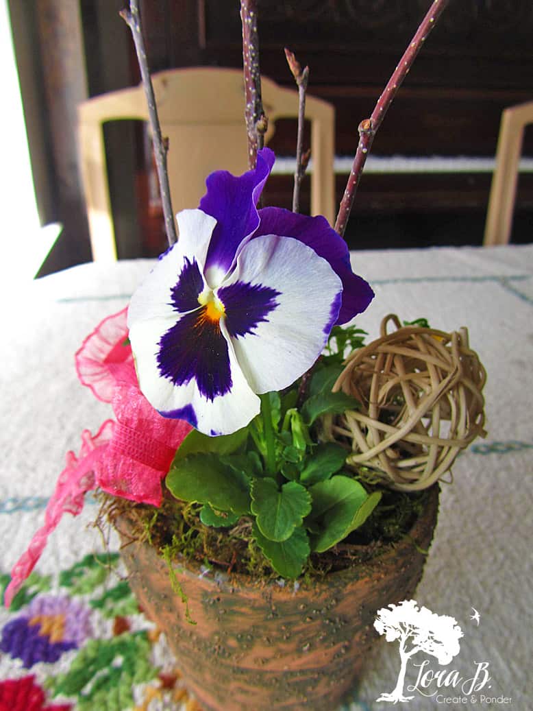 Pansy pot with added rattan sphere.