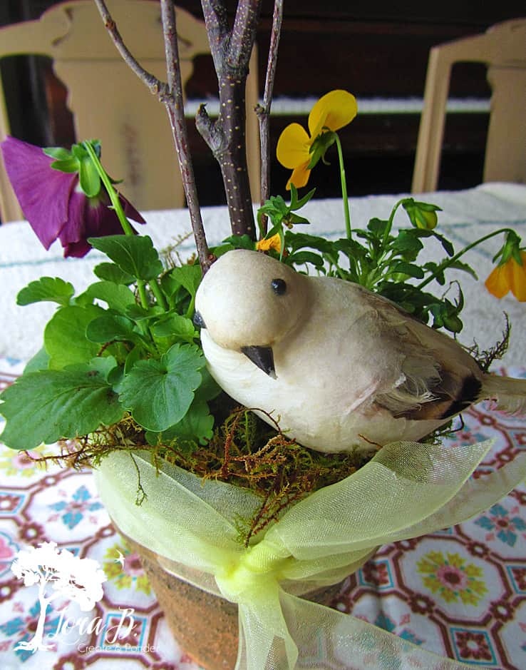 Bird in springtime pansy pot.