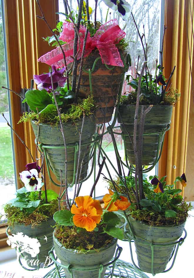 Pansies in pots with added prettiness