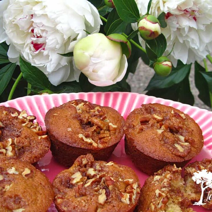 rhubarb muffins