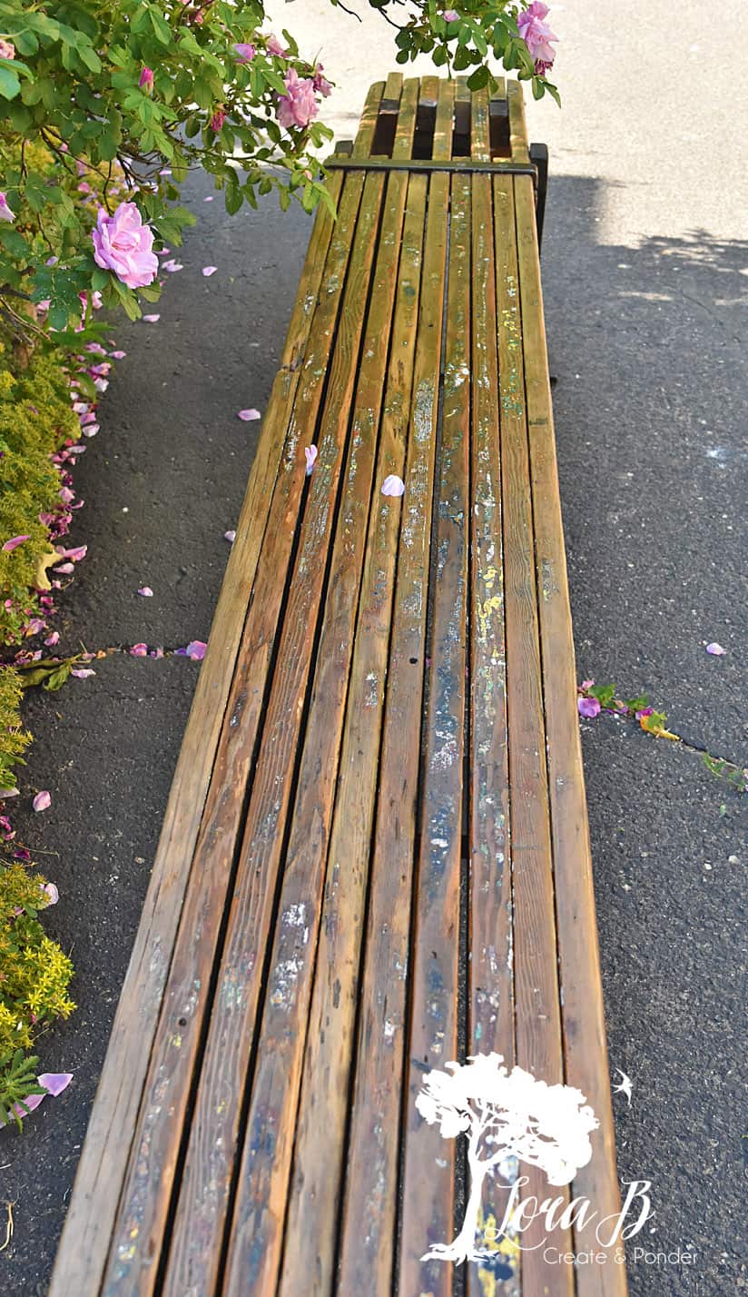 rustic bench