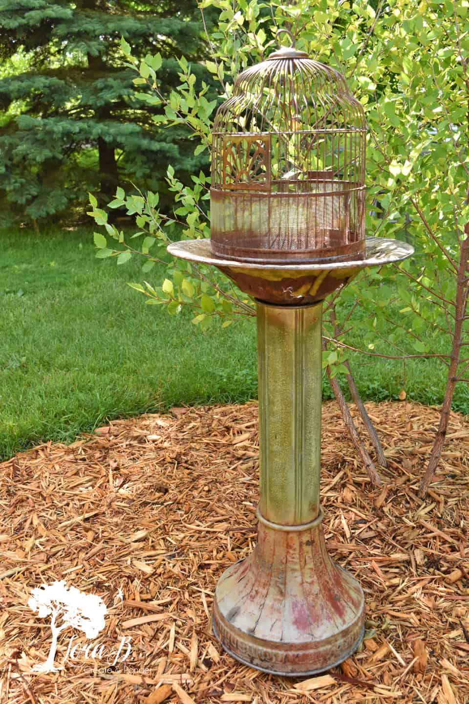 Birdcage on Birdbath