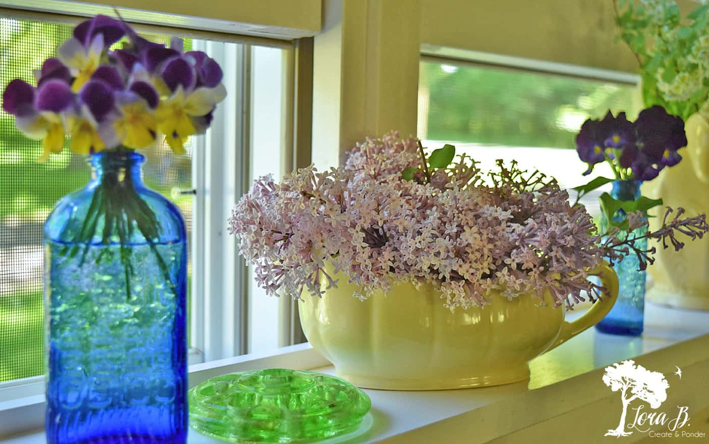 How to Enjoy a Windowsill Display: A Study in Blue