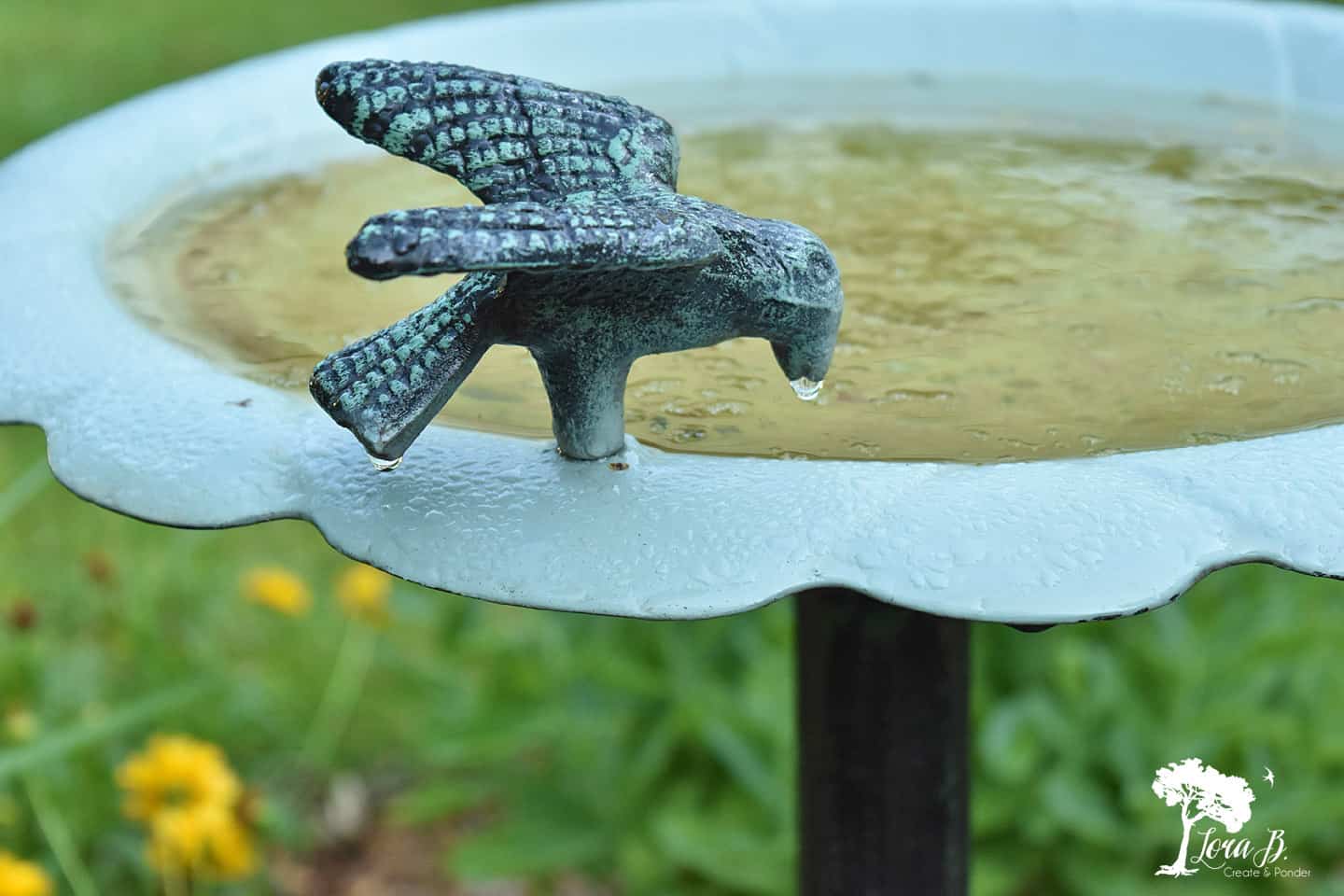 Birdbath