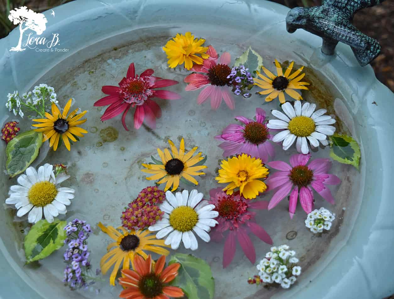 Flowers floating in birdbath