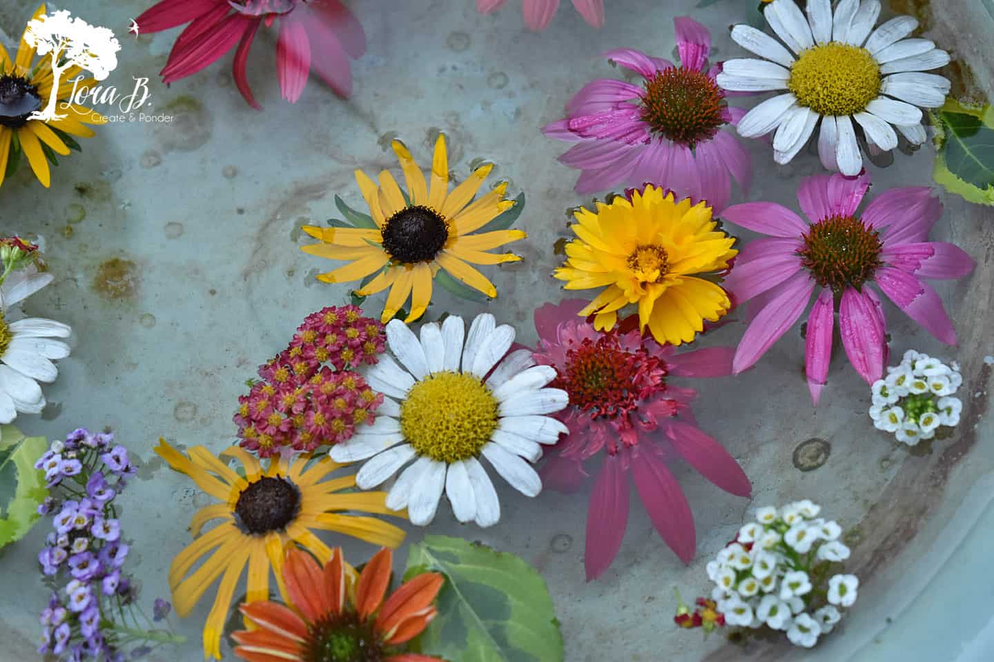 Floating flowers.