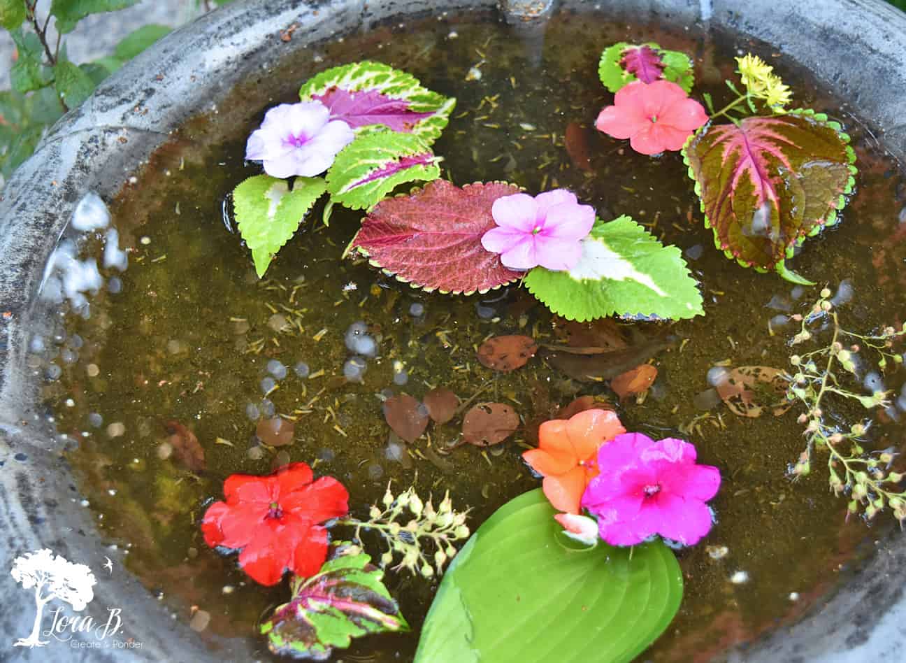 Birdbath flowers