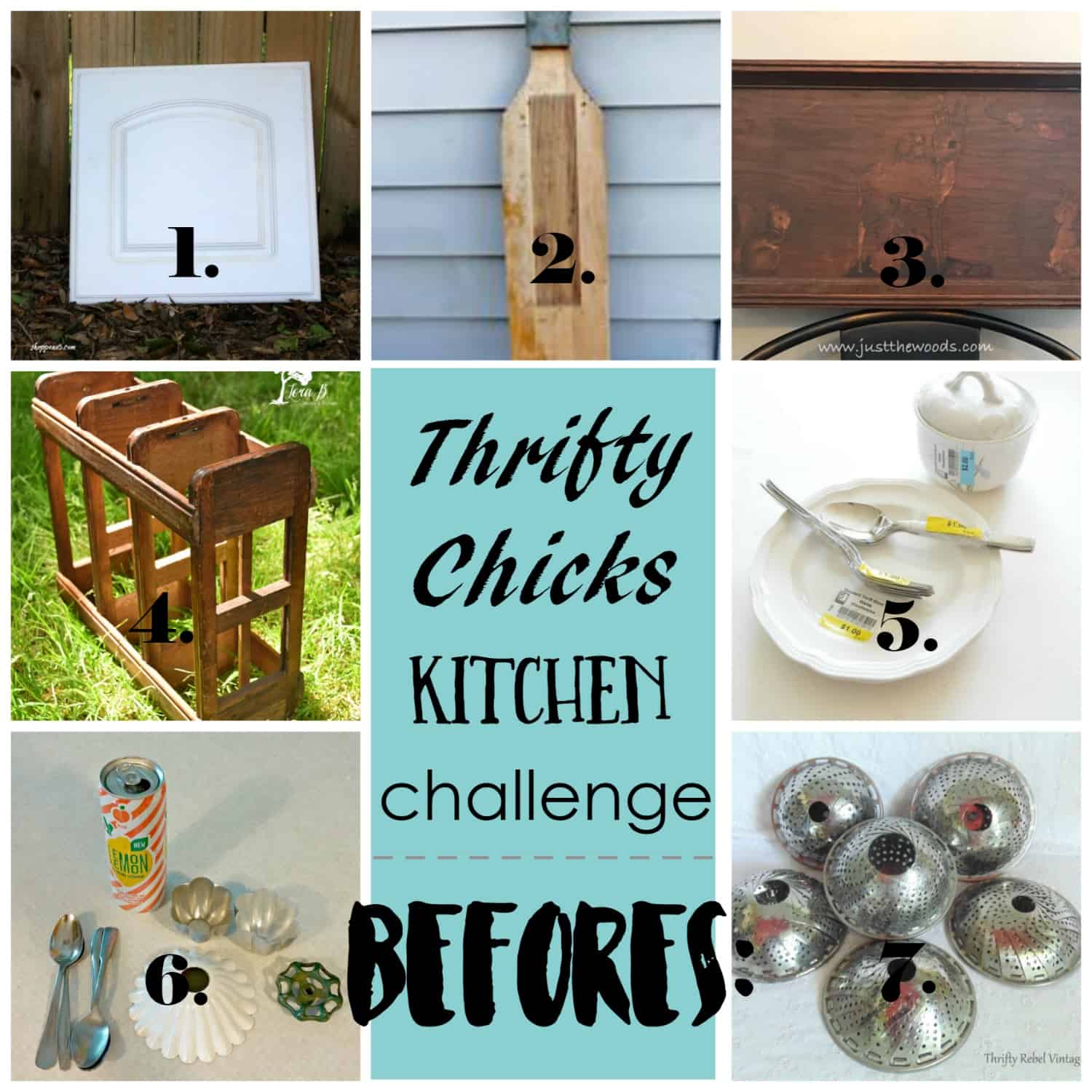 Thrifty Chicks collage