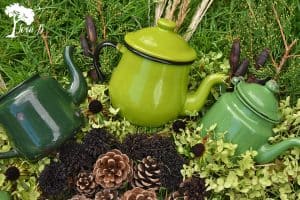 Vintage teapot collection