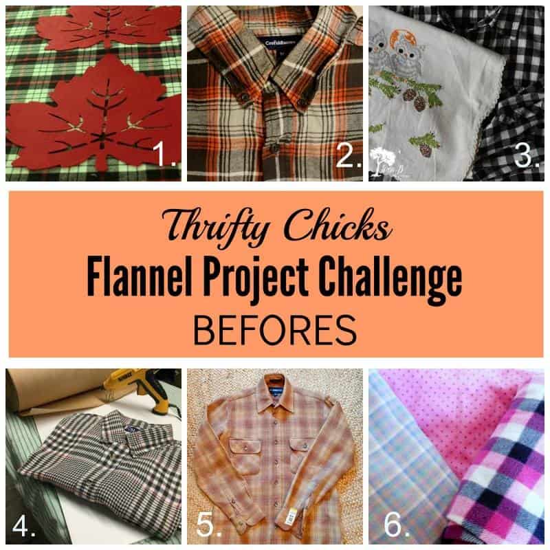 Thrifty Chicks Projects