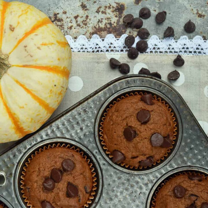 pumpkin chocolate chip muffins