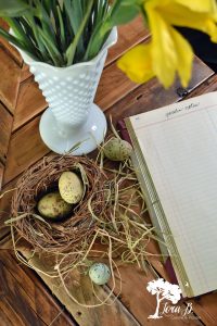 Spring Nest Vignette