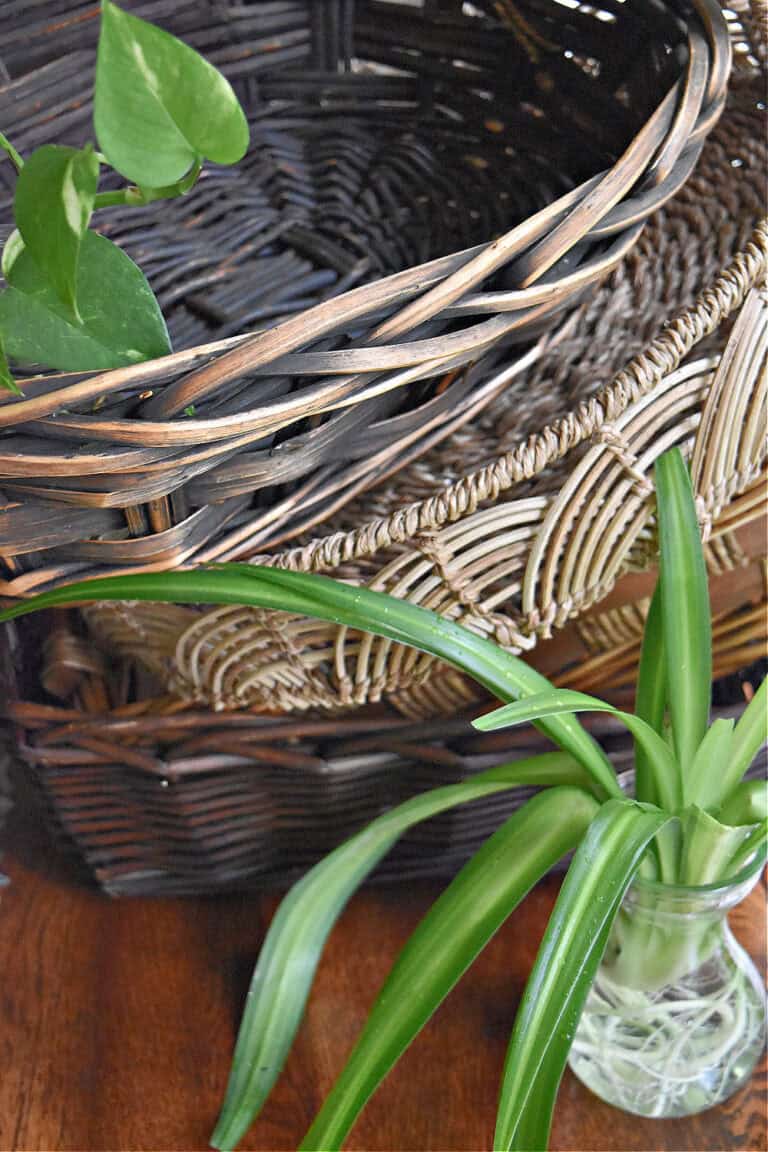 Stack of wicker baskets.