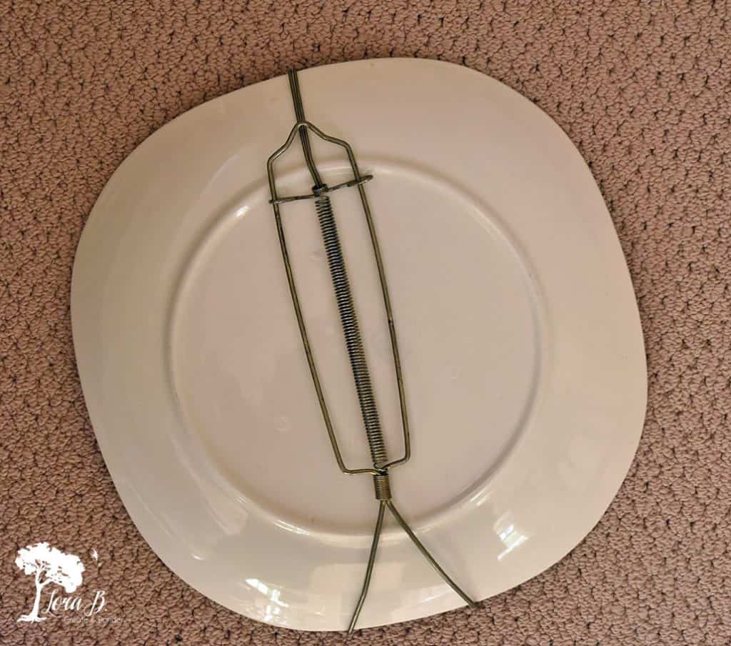 Plate Racks (for Displaying Platters, Serving Boards, and Plates