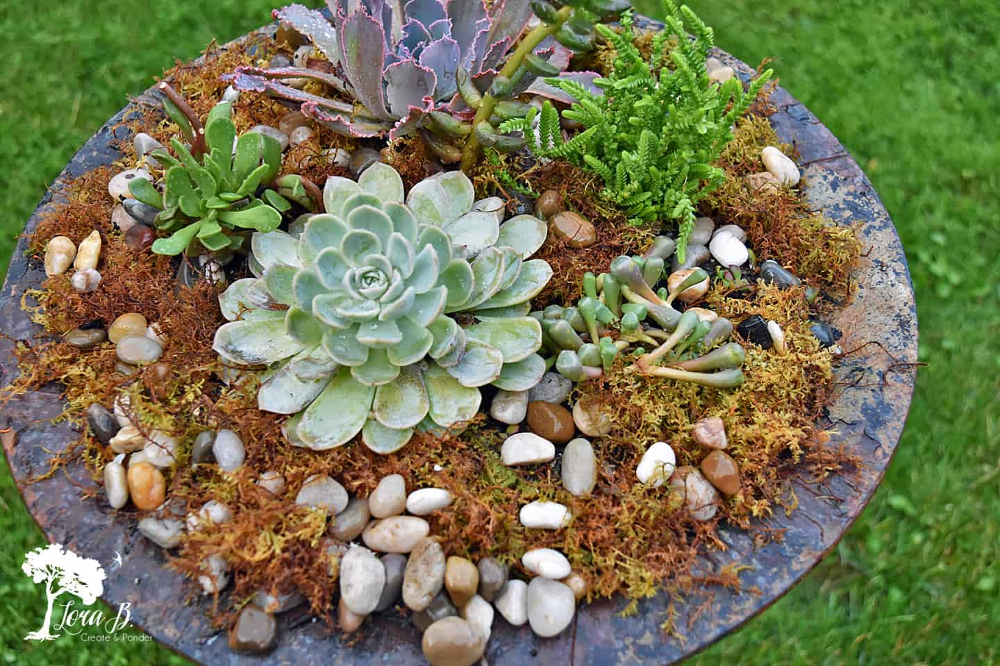 Re-purposed Birdbath