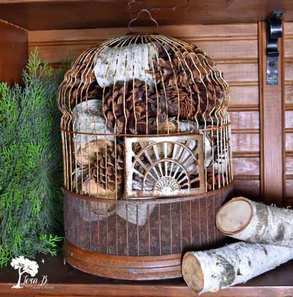 12 Creative Ways to Decorate With A Vintage Birdcage - Lora Bloomquist ... - Creative Ways To Decorate A Macaw Birdcage