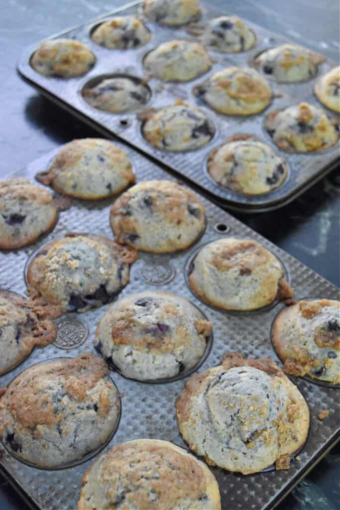 Blueberry muffins in muffin pans