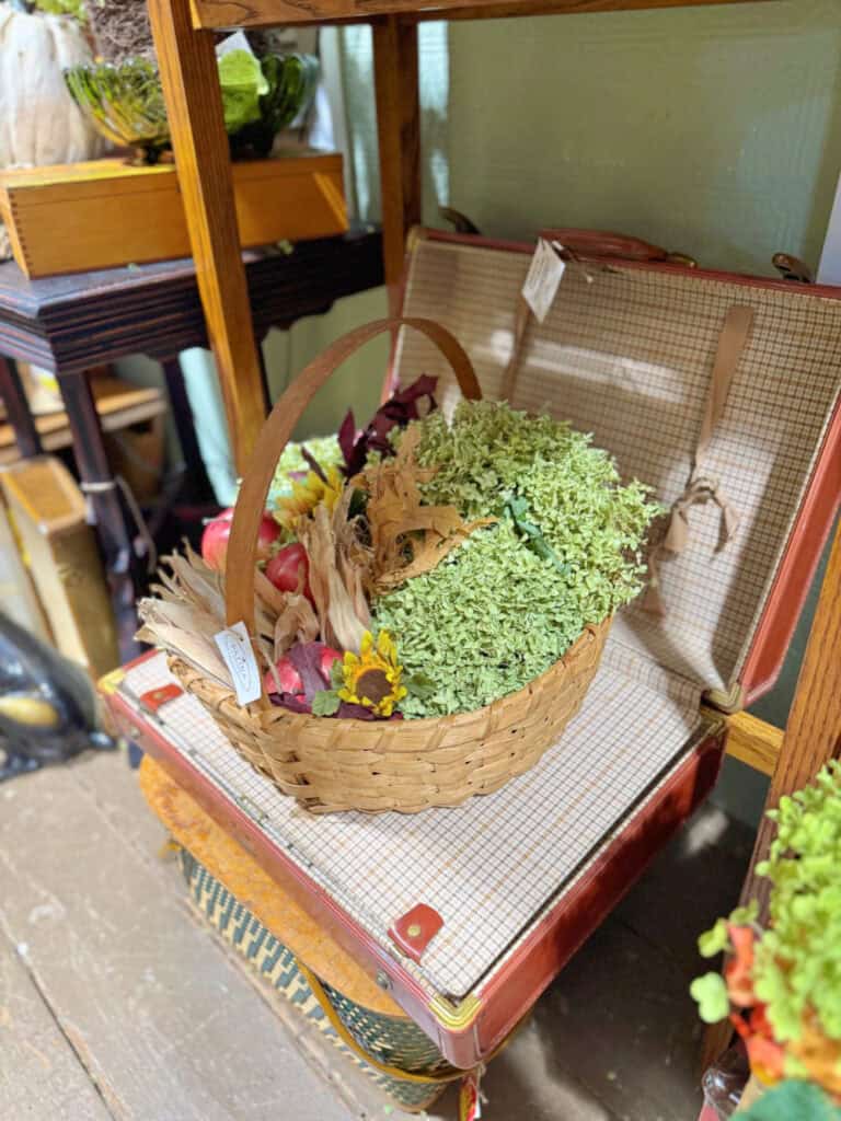 Fall basket arrangement in vintage suitcase.