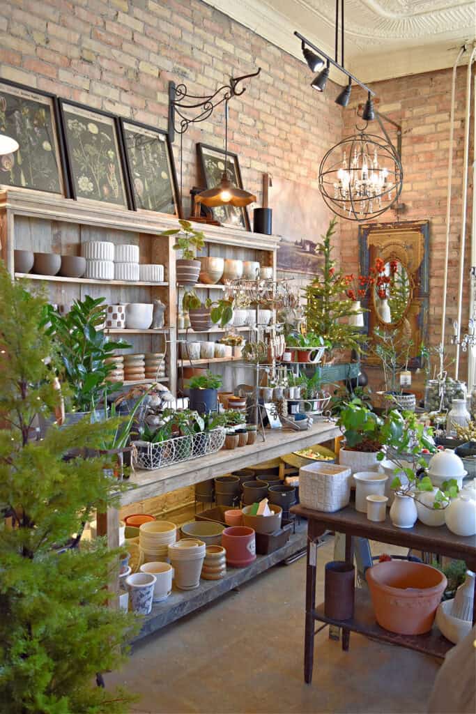 Vintage shop store display.