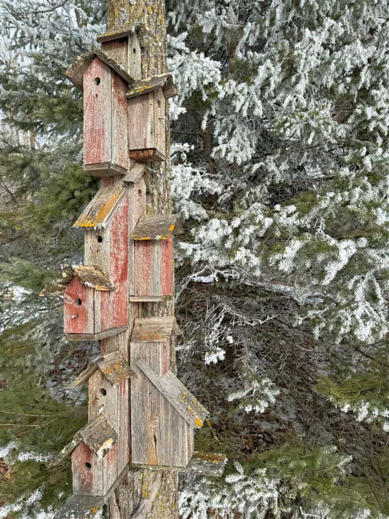 Birdhouse totem pole in winter.