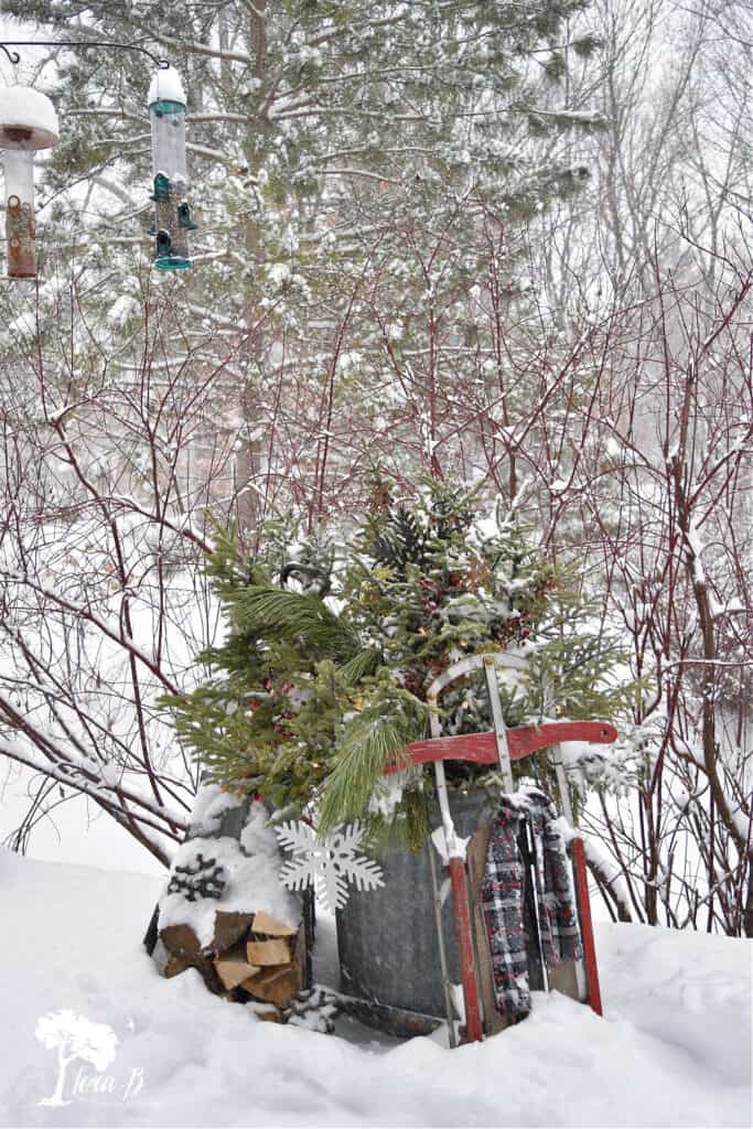 Outdoor winter container