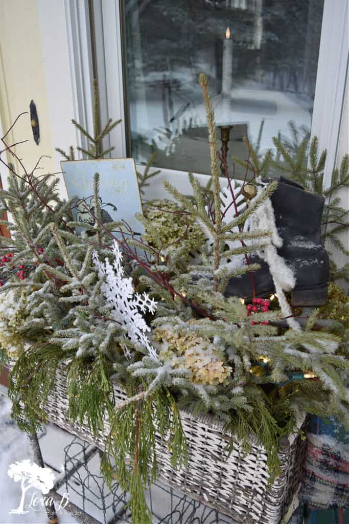Outdoor winter container