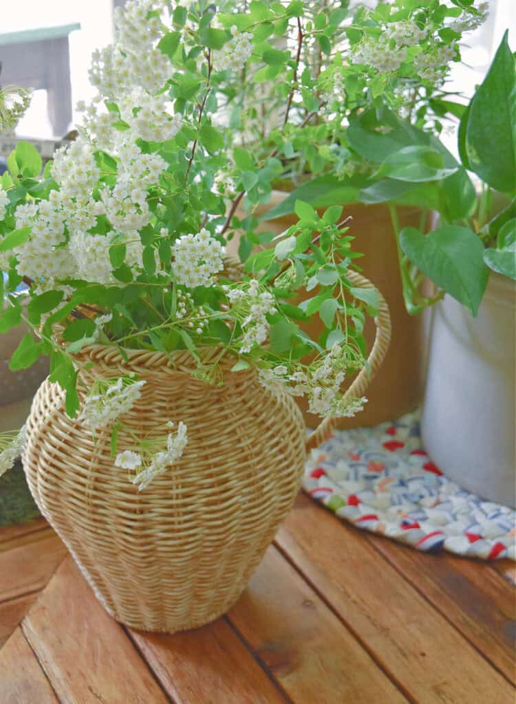 Wicker vase with white flowers on coffee table.