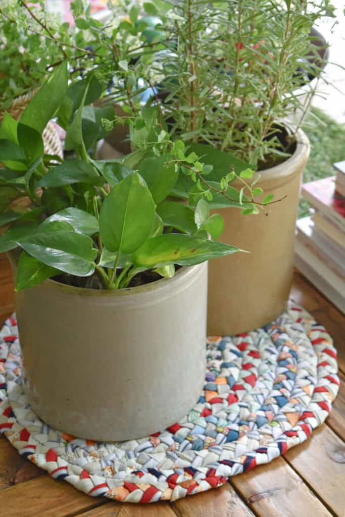 Two pots with plants on a table.