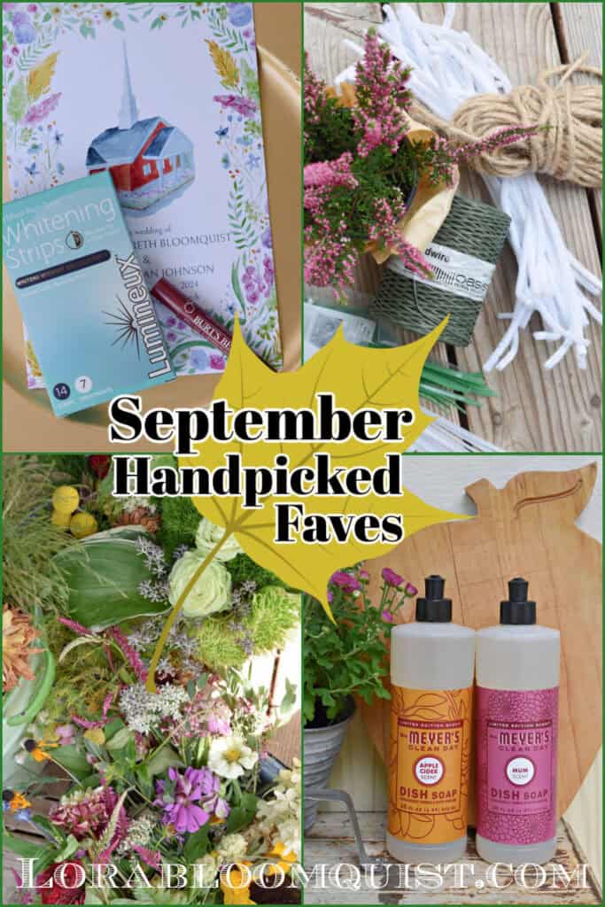 Mrs. Meyers, white strips, bindwire & other Fall favorites.