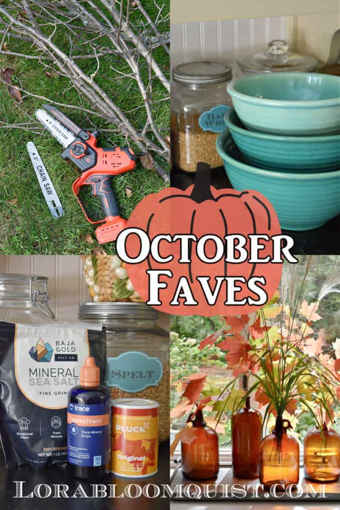 Small chainsaw, vintage bowls, spices and amber jars.