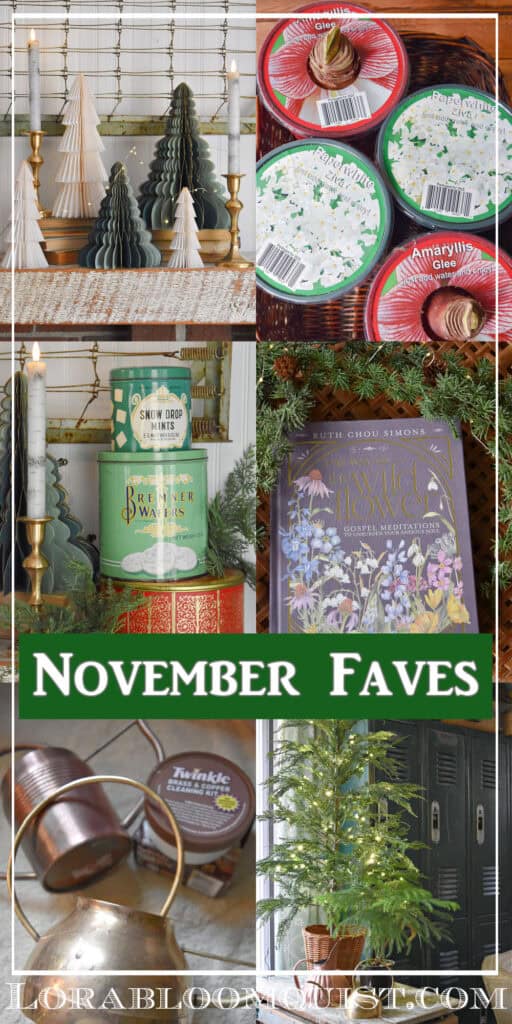 Christmas decor accents in red and green.