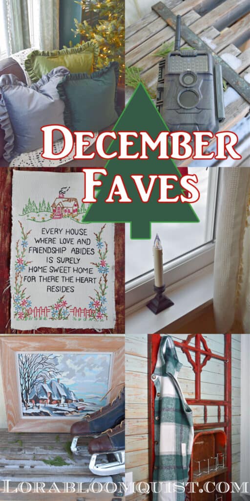 velvet pillows, trail cam, needlepoint, candle and other gift ideas