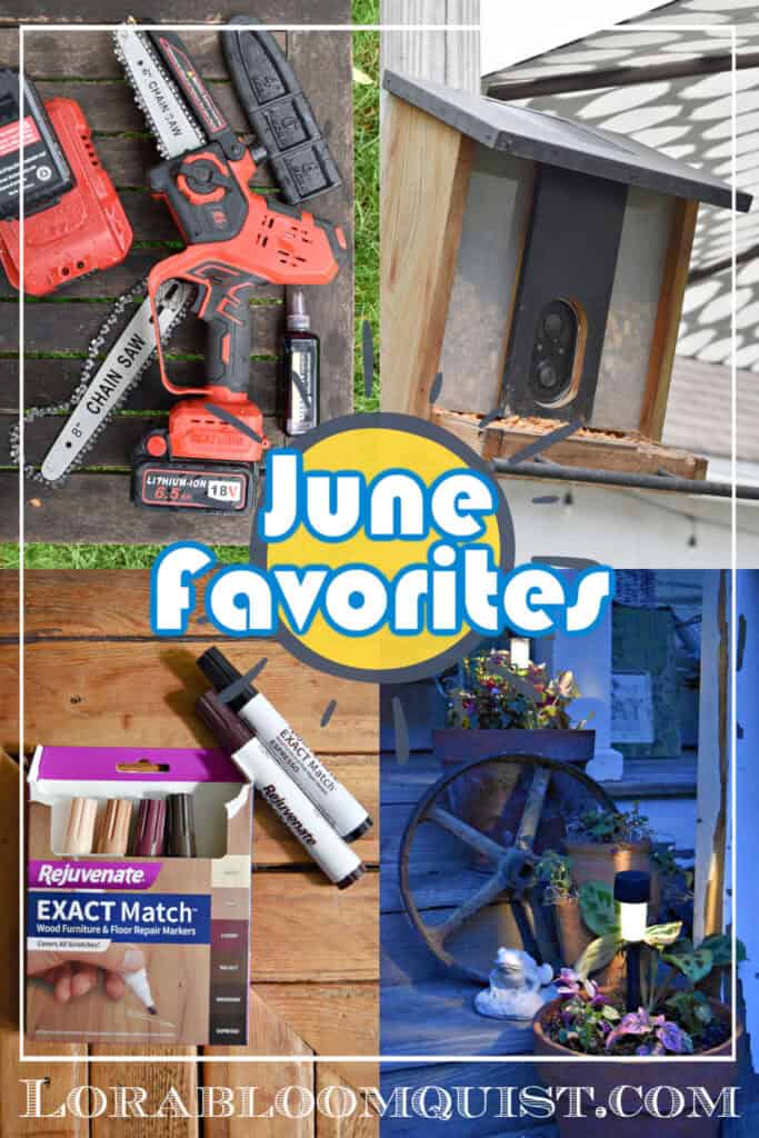 Mini chain saw, bird feeder, markers and solar lights.
