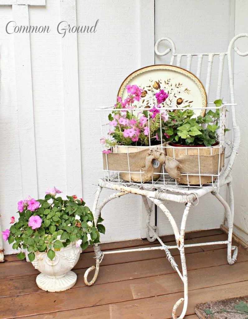 Pink flowers and ivy on scrolly white iron chair garden vignette.