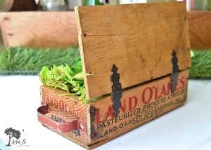 vintage cheesebox