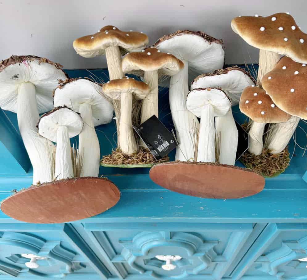 Faux mushrooms for decor.
