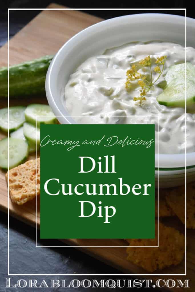 Dill cucumber dip on vintage bowl, served with crackers.