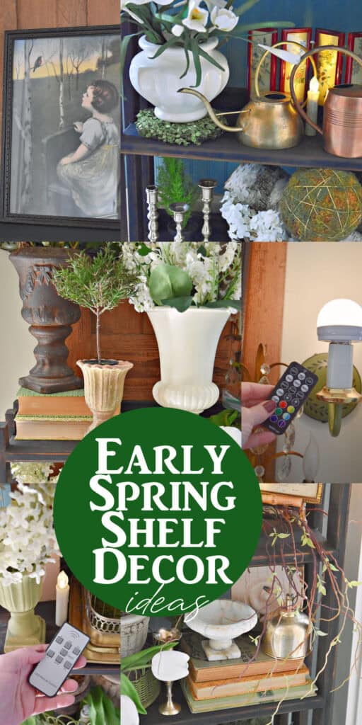 Classic vintage finds decorate a bookshelf for Spring.