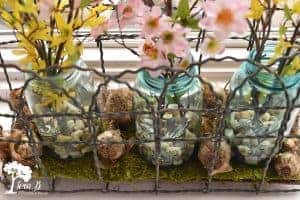 blue ball jars with Spring branches