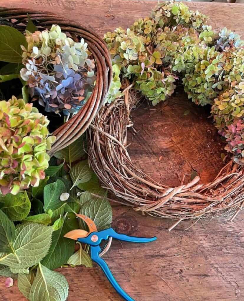 DIY hydrangea wreath