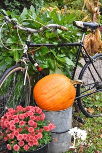 Fall Decorated Porch and Patio