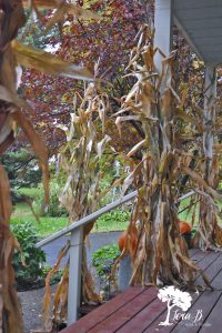 Fall Decorated Porch and Patio