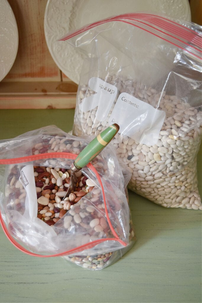 Ziplock bags of legumes for decor.