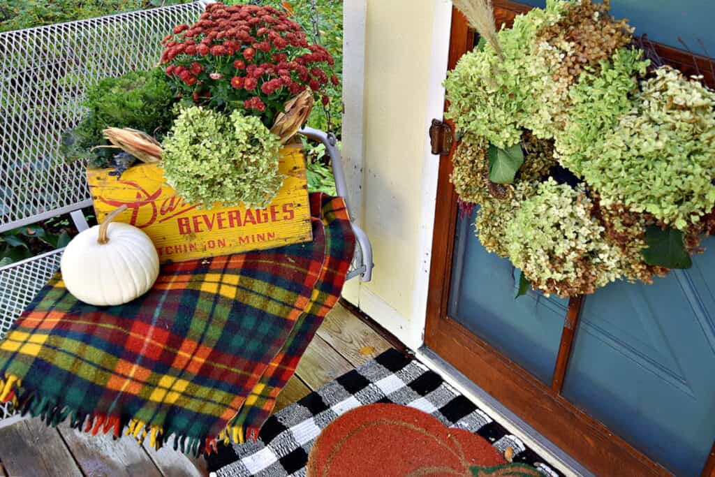 Hydrangea wreath, mums, kale and pumpkin as Fall porch decor