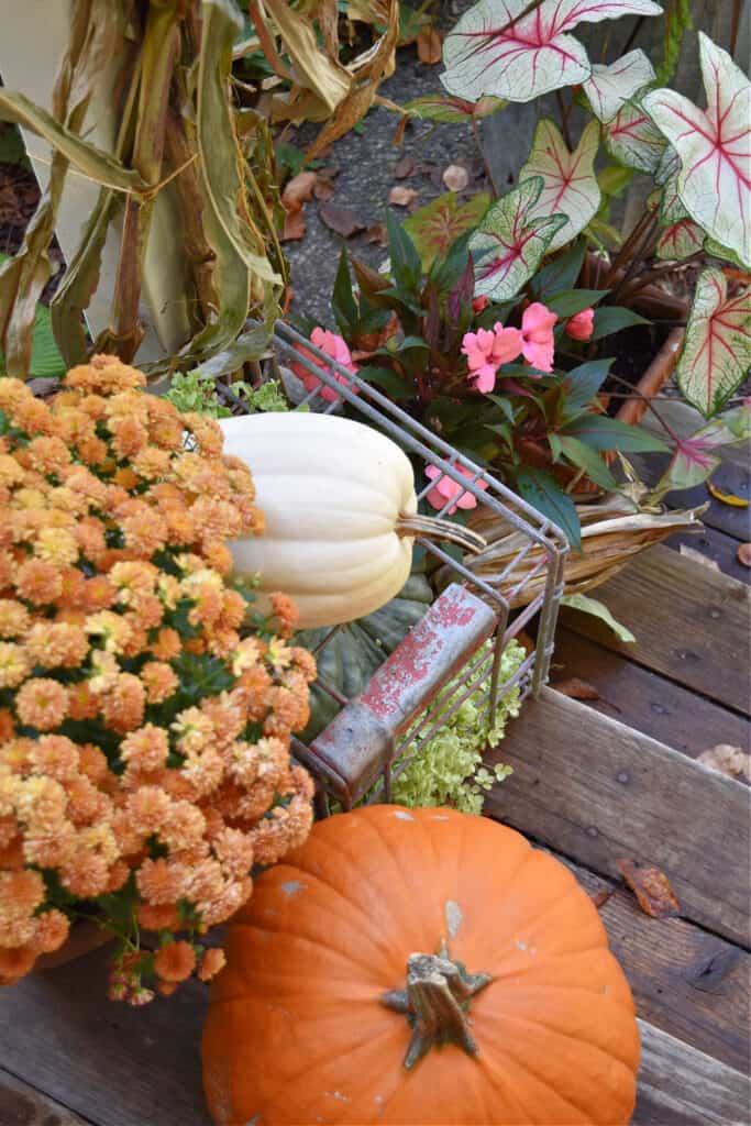 Pumpkins and mums on Fall decorated porch steps.
