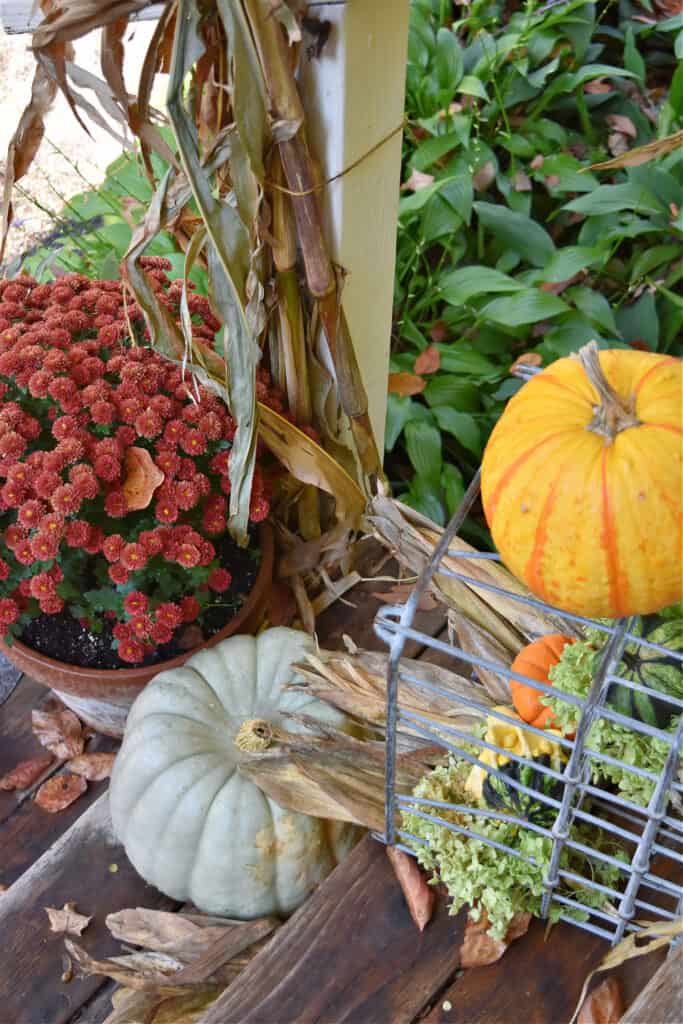 Pumpkins and mums on Fall decorated porch steps.